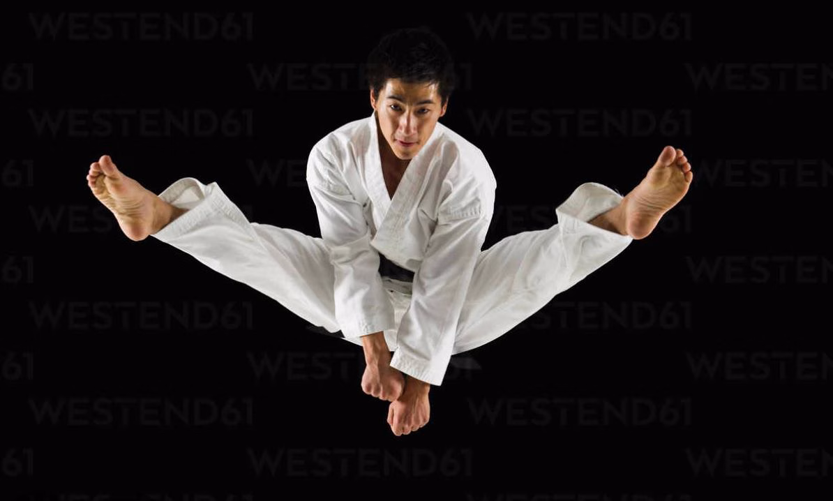 Professional Karate Leagues in Indonesia